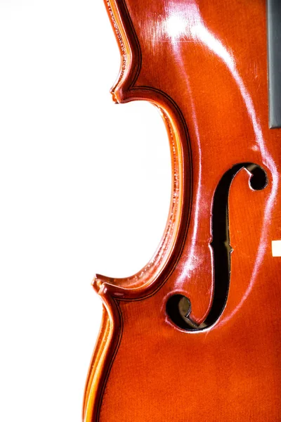 白い背景のヴァイオリンのクローズ アップ — ストック写真