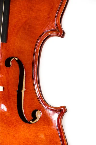 Violin on white background — Stock Photo, Image