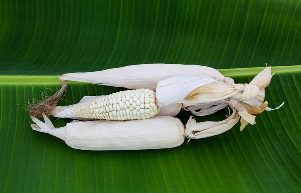 Суха кукурудза на банановому листі — стокове фото