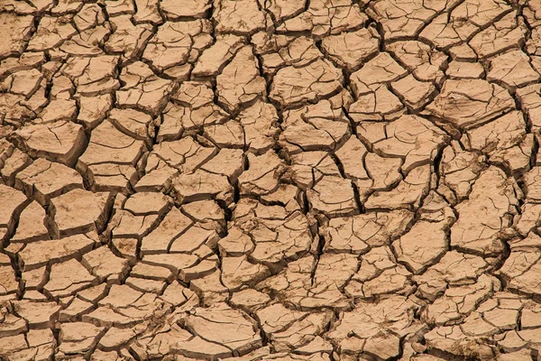 Tierra seca tierra agrietada — Foto de Stock