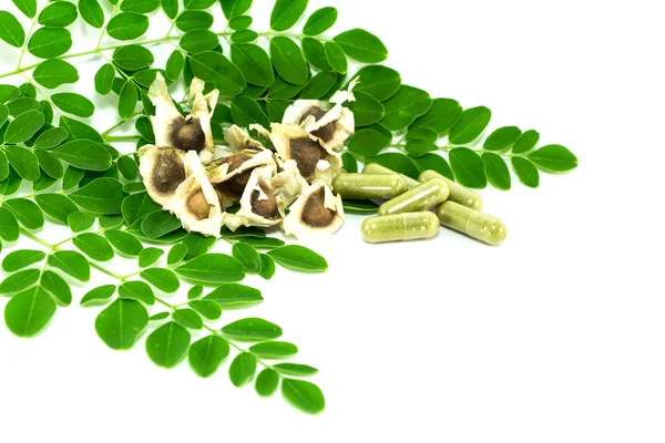 Folhas do pepino amargo-chinês (Moringa oleifera Lam .) — Fotografia de Stock