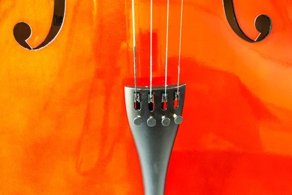 Part of violin close-up — Stock Photo, Image