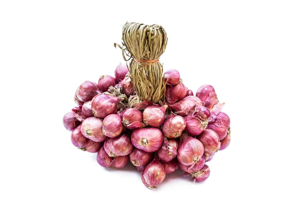 Shallot is a type of onion, specifically a botanical variety of the species Allium cepa. — Stock Photo, Image