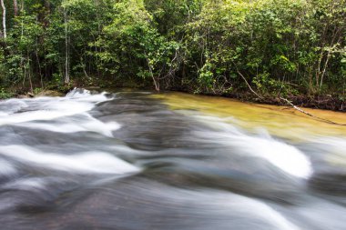 Şelale Tayland Ulusal Parkı içinde