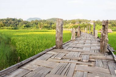Zutongpae köprü bambu bridge of Faith güçler başarılı Köprüsü