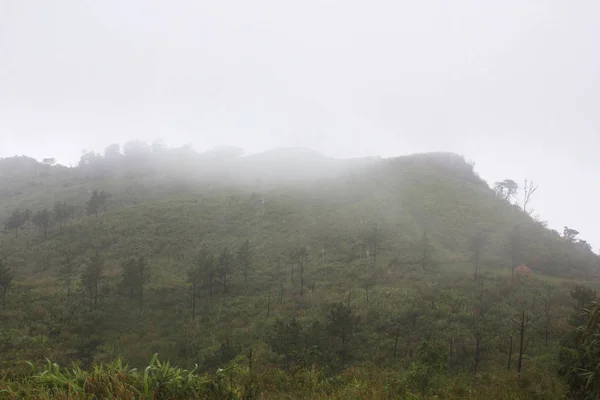 Schöner Grüner Hügel Bei Nebligem Morgen — Stockfoto