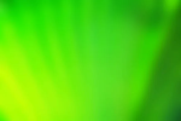 緑のヤシの葉 コピースペース — ストック写真