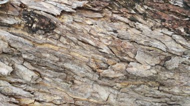 renk soyut arkaplan, kopyalama alanı