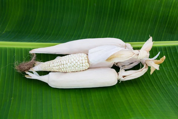 Maïs Sec Sur Feuille Verte Banane — Photo