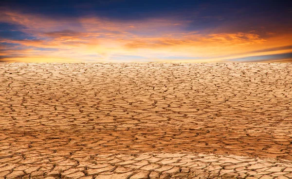Desert Dry Cracked Ground Background — Stock Photo, Image