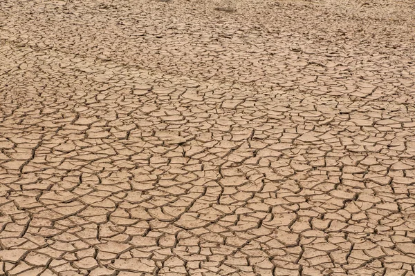 Wüste Trockener Und Rissiger Boden Als Hintergrund — Stockfoto