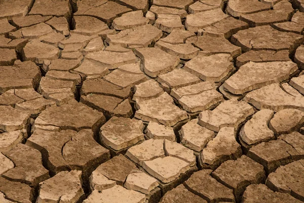 Textura de tierra seca — Foto de Stock