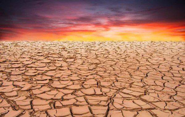 Textur der trockenen Erde — Stockfoto