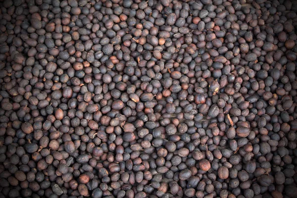 Coffee Beans Close Shot — Stock Photo, Image