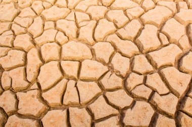 Çatlak kuru toprak arkaplanı