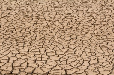 Çatlamış kahverengi toprak. 