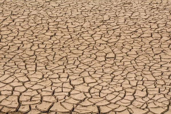 Cracked Brown Dried Ground — Stock Photo, Image