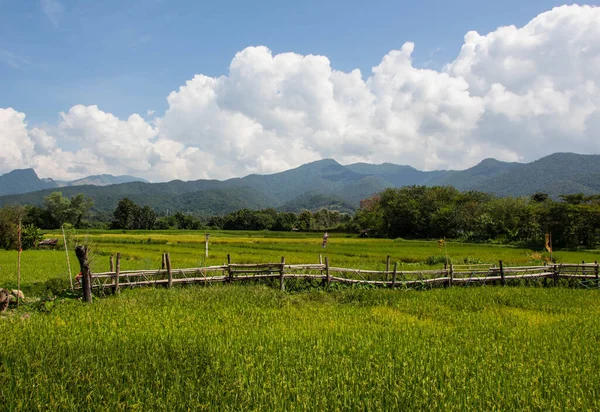 Nan Thailand July 2018 Many People Take Photo View — Stock Photo, Image