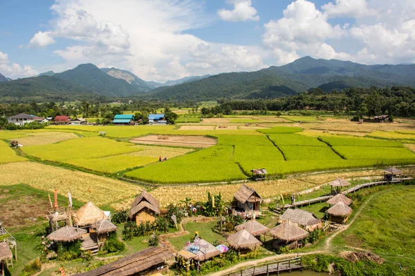 Homestay Farm Coffee Shop Located Front Wat Phuket — стоковое фото