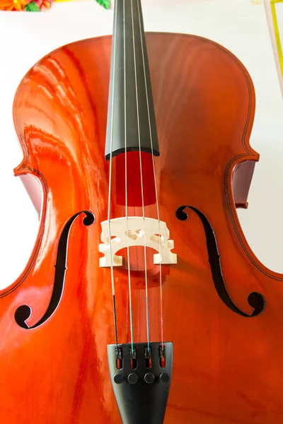 Nahaufnahme Einer Hölzernen Braunen Geige — Stockfoto