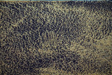 Soyut altın arkaplan yakın plan