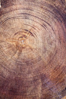 arkaplan için eski ahşap dokusu