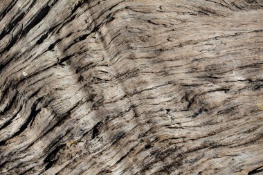 Eski tahta soyut arkaplan