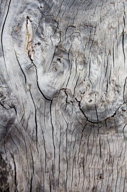 Eski tahta soyut arkaplan