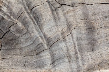 Eski tahta soyut arkaplan