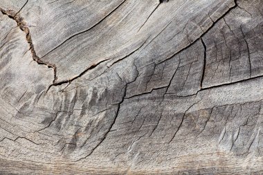 Eski tahta soyut arkaplan