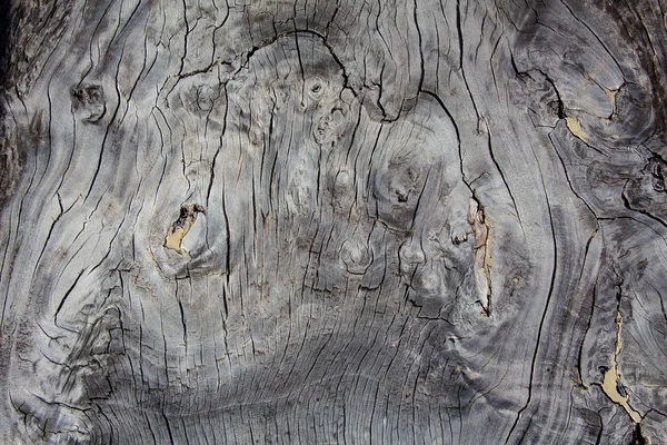 旧木材的抽象背景 — 图库照片