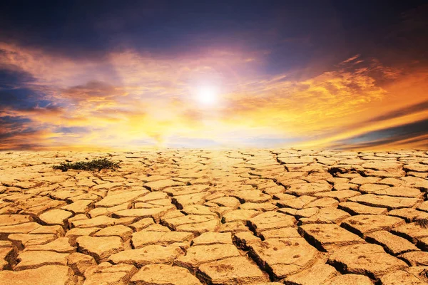 Fondo Seco Tierra Agrietada Textura Del Desierto Arcilla — Foto de Stock