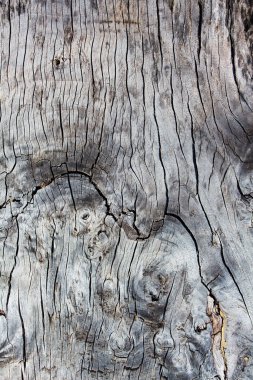 Eski ahşap soyut doku