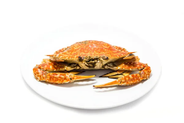 Ooked Dungeness Crab Isolated White — Stock Photo, Image