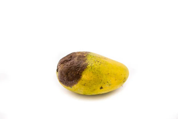 Σάπια Φρούτα Μάνγκο Λευκό Φόντο — Φωτογραφία Αρχείου