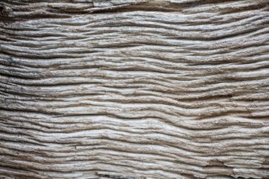 Eski tahta soyut arkaplan