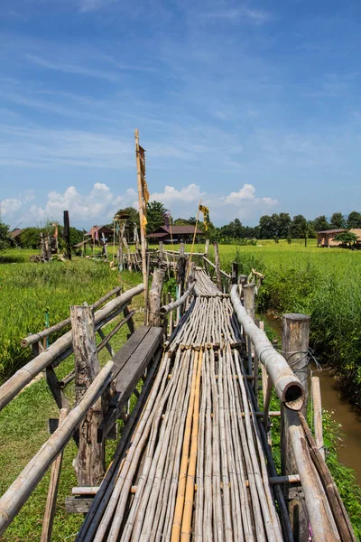 Nan Tailandia Julio 2018 Mucha Gente Toma Una Foto Con — Foto de Stock