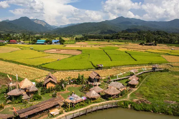 Homestay Farm Coffee Shop Located Front Wat Phuket — стоковое фото