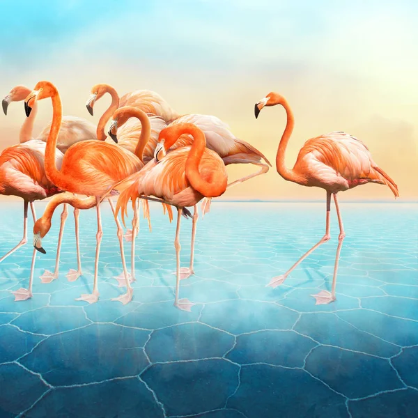 Beautiful compositing of red flamingo at left side