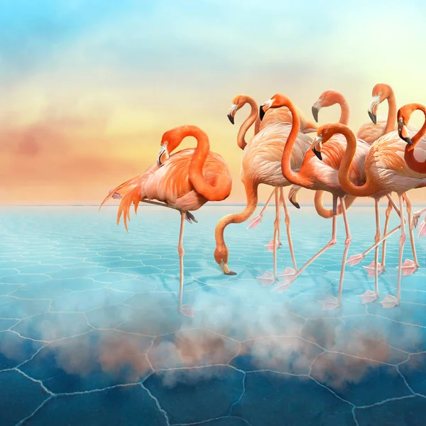 Compositing of Red flamingo in the desert