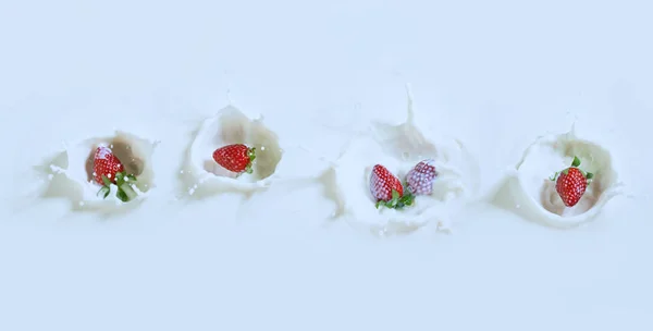 Νόστιμα φράουλες βυθίζοντας κάτω στο γάλα με ένα σταγόνες — Φωτογραφία Αρχείου