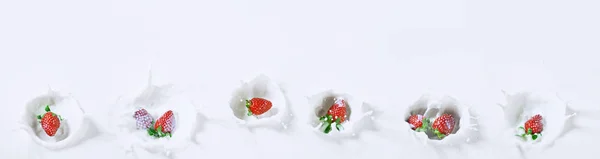 美味的草莓下沉入牛奶全景 免版税图库照片