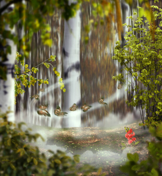 Beautiful mystical background photo montage with a birch grove, of the middle the meadow with a rose flower between a clouds, foggy circle with a butterflies and leaves in the foreground