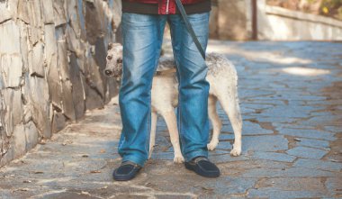 Adamın ayağını arkasında meraklı köpek yavrusu siyah beyaz melez köpek duran