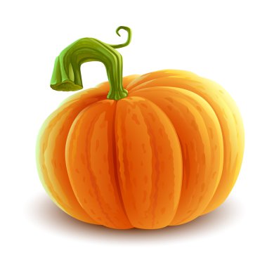 Realistic colorful pumpkin clipart