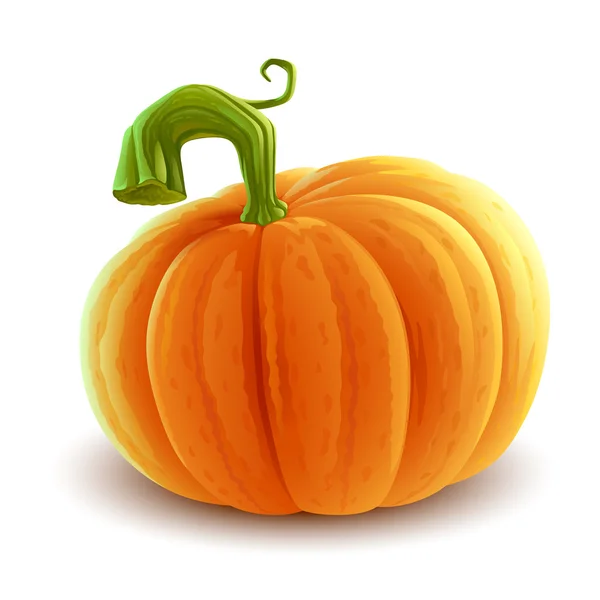 Calabaza colorida realista — Vector de stock