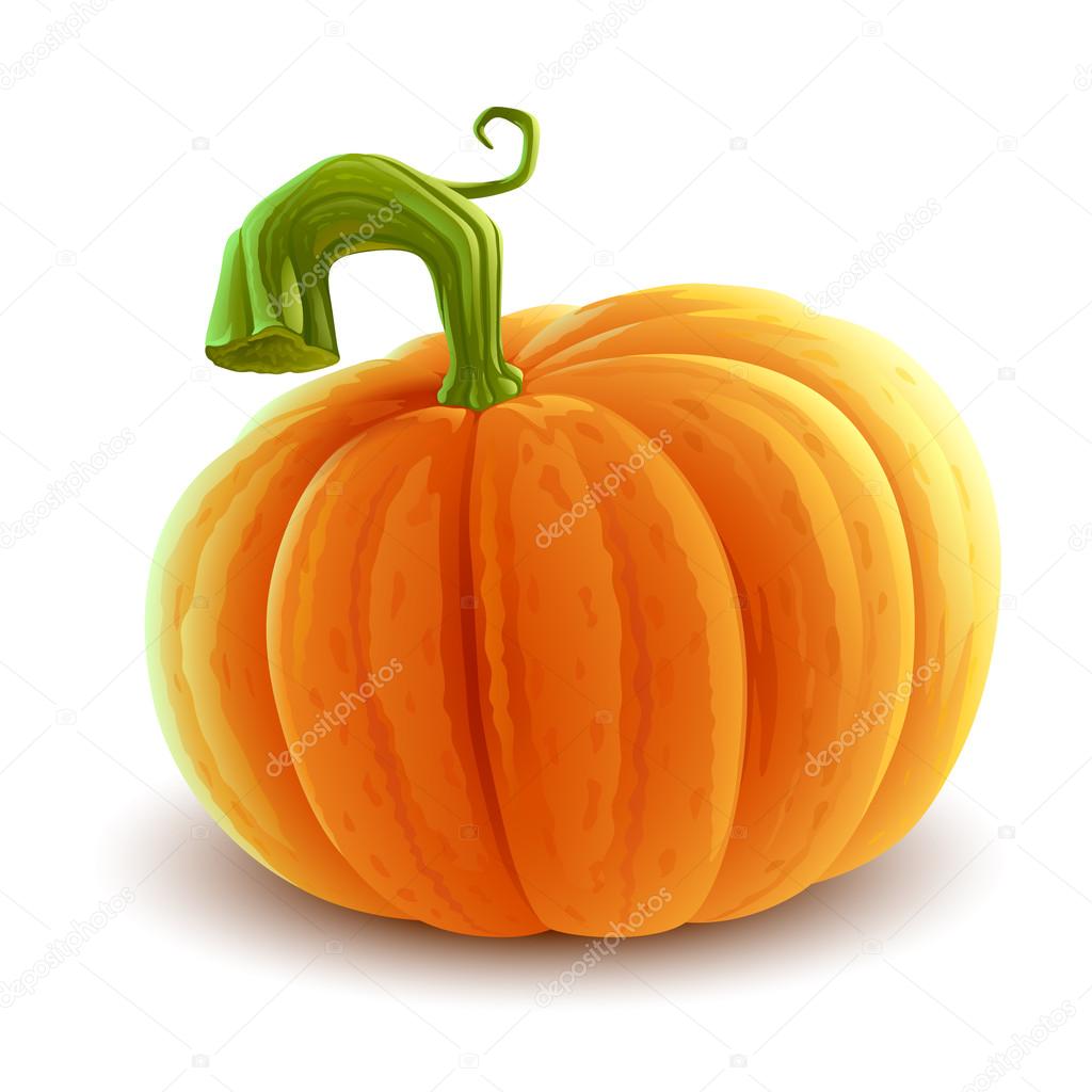 Realistic colorful pumpkin