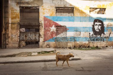 Küba, Havana - 20 Şubat 2017: Havana sokakları ile graffitt