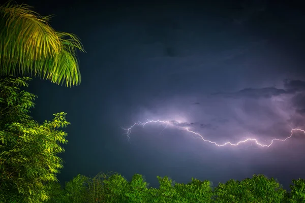 Thunder on a blue sky with palm tree on the wind — Stock Photo, Image