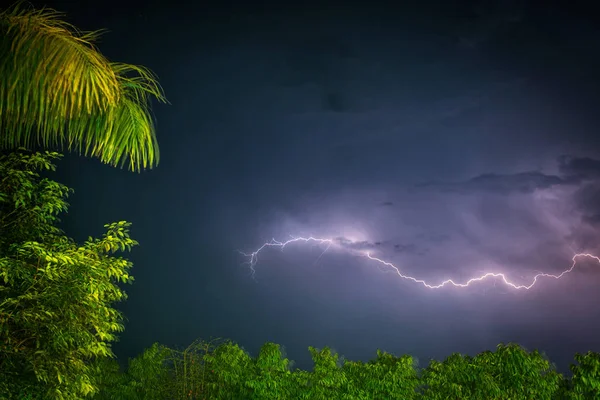 Trueno en un cielo azul con palmera en el viento — Foto de Stock